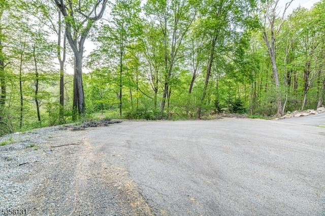 10 Maple Dr, Vernon Twp, NJ 07461 - view of asphalt street featuring a view of trees