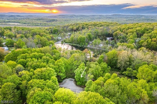 10 Maple Dr, Vernon Twp, NJ 07461 - aerial view at dusk of a view of trees and a water view