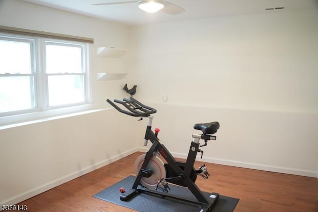 exercise area featuring visible vents, wood finished floors, baseboards, and ceiling fan