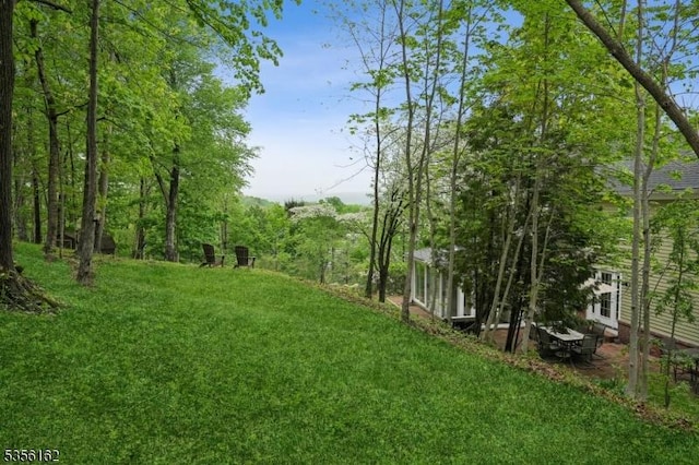 view of grassy yard