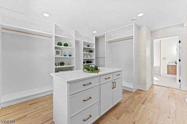 2227 Pine Ter, Scotch Plains Twp, NJ 07076 - walk in closet featuring light wood-style floors
