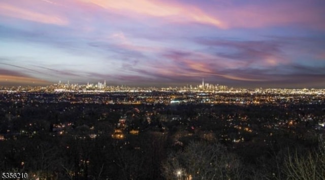 113 Highview Ter, Hawthorne Boro, NJ 07506 - city view
