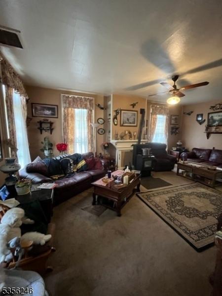 living area featuring ceiling fan and carpet floors
