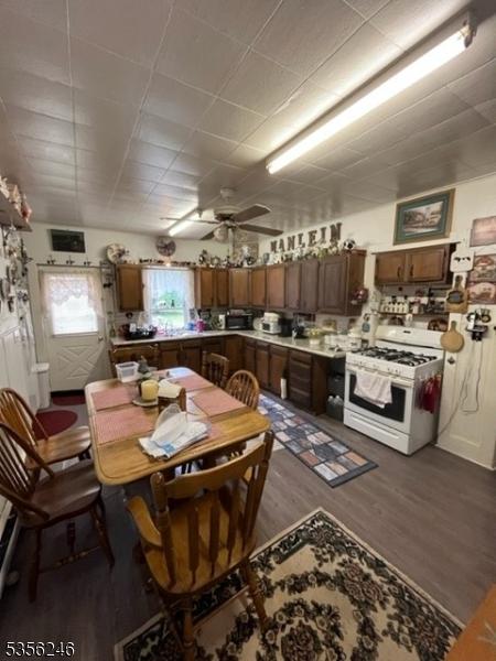 dining space featuring dark wood-style flooring and ceiling fan