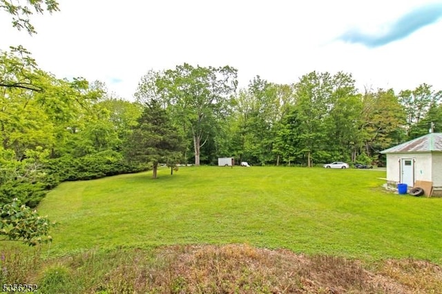 111 Decker Pond Rd, Green Twp, NJ 07821 - view of green lawn