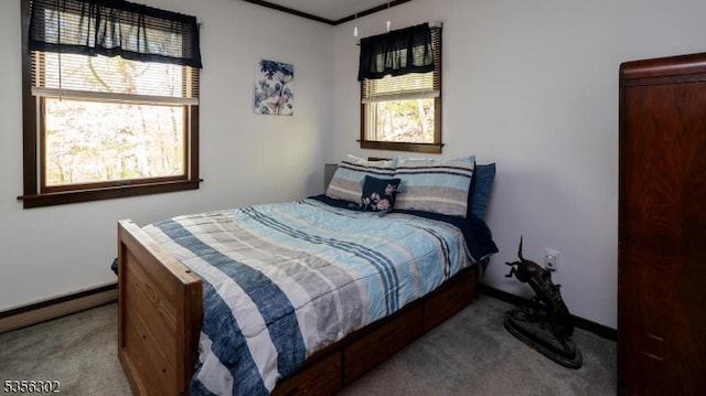 6 Longview Ln, Vernon Twp, NJ 07461 - bedroom with carpet, a baseboard heating unit, and baseboards