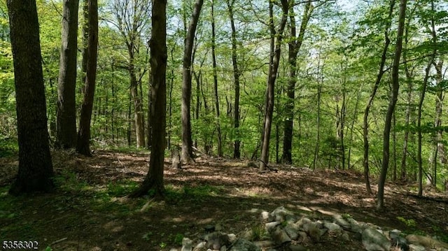 6 Longview Ln, Vernon Twp, NJ 07461 - view of woods