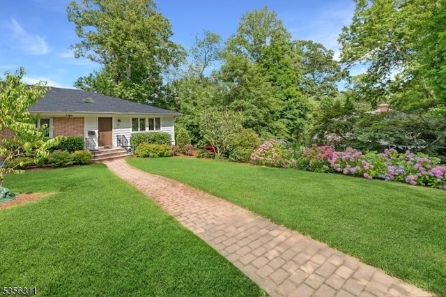 view of grassy yard