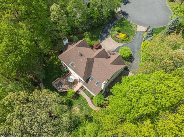 aerial view