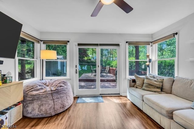 living room featuring a ceiling fan and wood finished floors