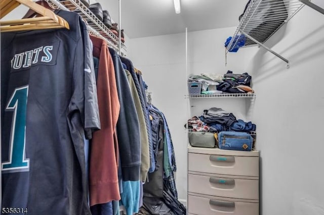 view of walk in closet