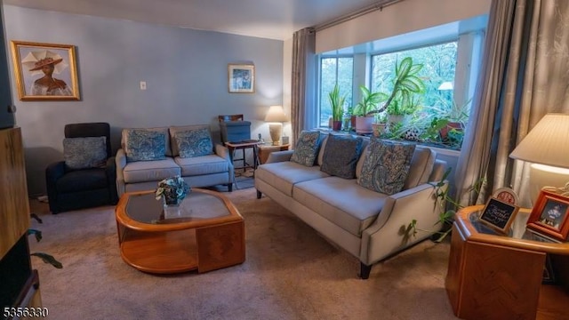 living area with carpet