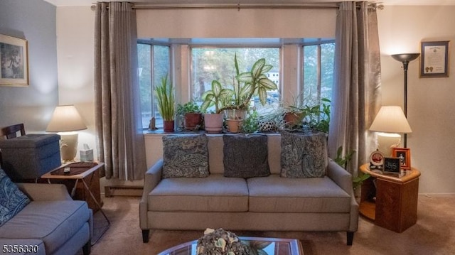 sitting room with carpet flooring and a baseboard radiator