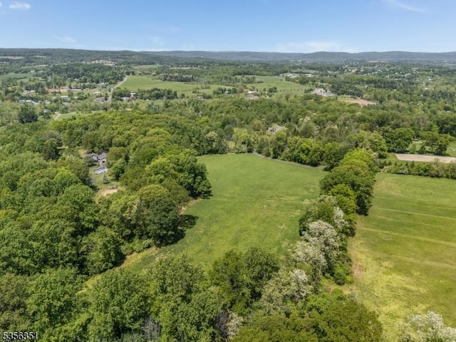 152 Whitebridge Rd, Franklin Twp, NJ 08867 - drone / aerial view of a forest