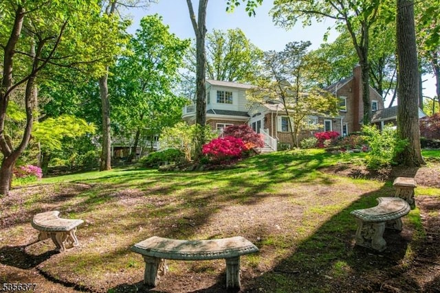 view of grassy yard