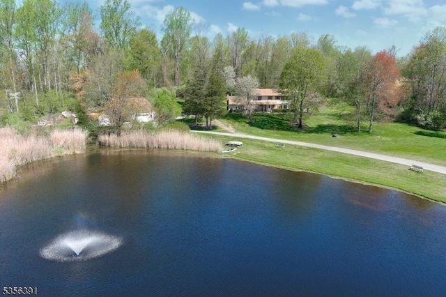 75 Wolfs Corner Rd, Green Twp, NJ 07860 - water view