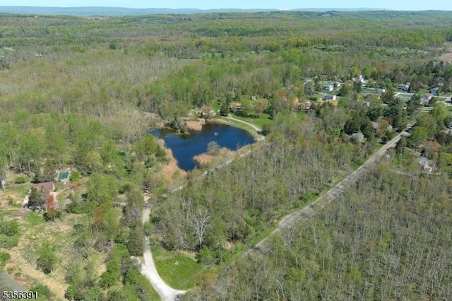 75 Wolfs Corner Rd, Green Twp, NJ 07860 - aerial overview of property's location with a forest and a large body of water