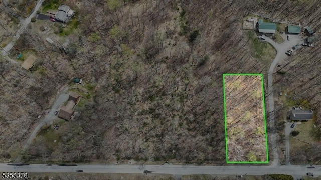13 Oak Ridge Rd, Montague Twp, NJ 07827