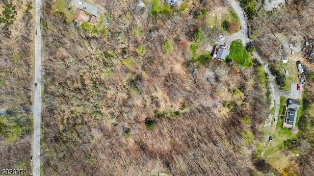 13 Oak Ridge Rd, Montague Twp, NJ 07827