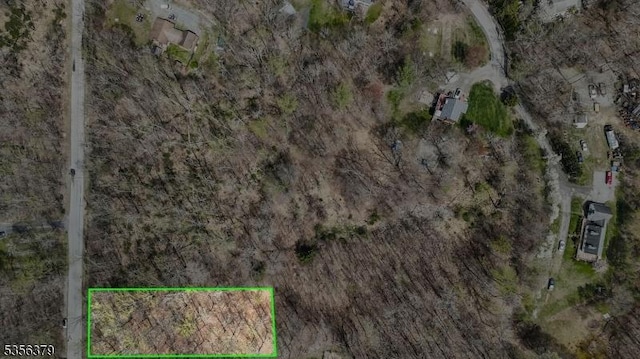 13 Oak Ridge Rd, Montague Twp, NJ 07827