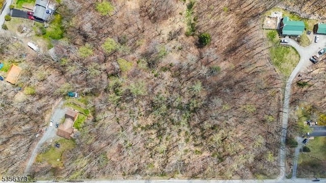 13 Oak Ridge Rd, Montague Twp, NJ 07827