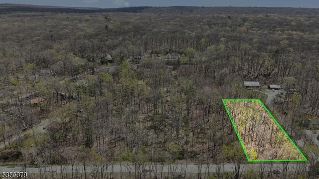 13 Oak Ridge Rd, Montague Twp, NJ 07827