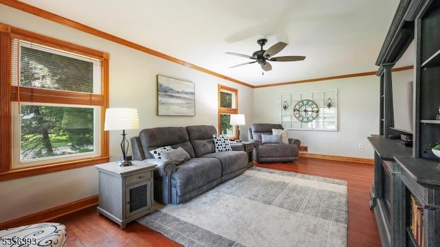 12 Fox Chase Run, Hillsborough Twp, NJ 08844 - living room with plenty of natural light, wood finished floors, baseboards, ornamental molding, and ceiling fan