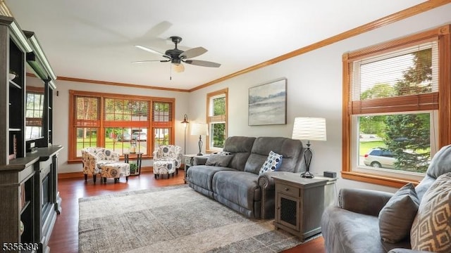 12 Fox Chase Run, Hillsborough Twp, NJ 08844 - living area with wood finished floors, a ceiling fan, crown molding, and baseboards