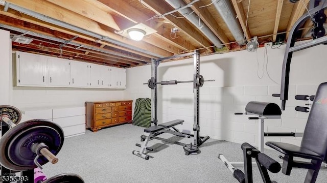 12 Fox Chase Run, Hillsborough Twp, NJ 08844 - view of exercise room