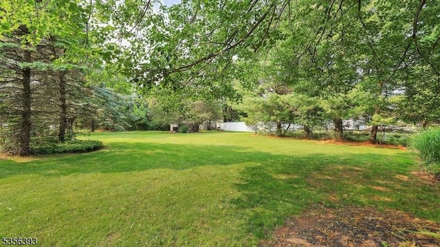 12 Fox Chase Run, Hillsborough Twp, NJ 08844 - view of yard