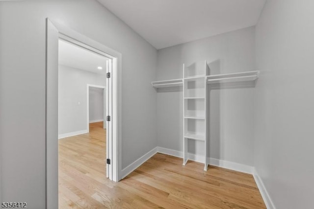 walk in closet featuring light wood-type flooring