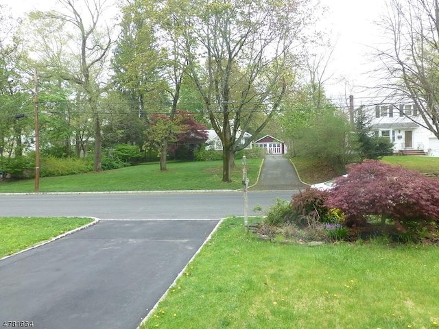 view of street with curbs