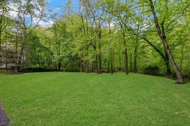 34 Crane Rd, Mountain Lakes Boro, NJ 07046 - view of grassy yard with a wooded view