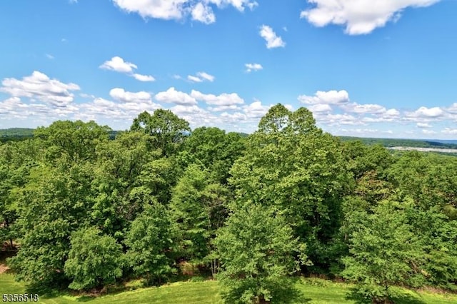 2 Claridge Dr Unit 3Lw, Verona Twp, NJ 07044 - view of woods