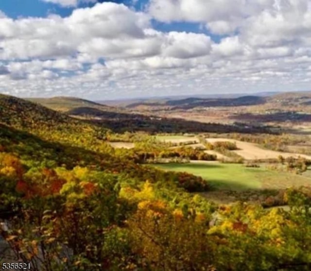 19 Esther Dr, Vernon Twp, NJ 07422 - view of mountain backdrop