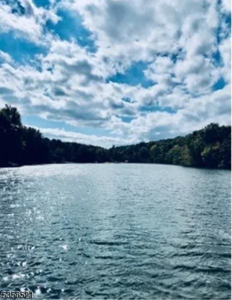 19 Esther Dr, Vernon Twp, NJ 07422 - water view featuring a heavily wooded area