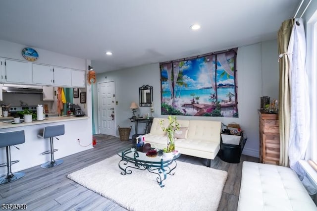 living area featuring wood finished floors and recessed lighting
