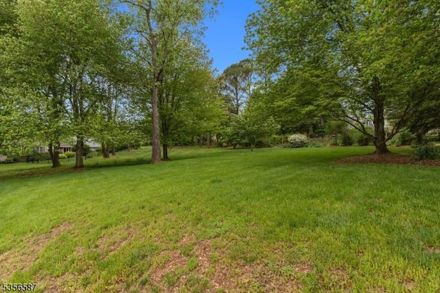 view of grassy yard