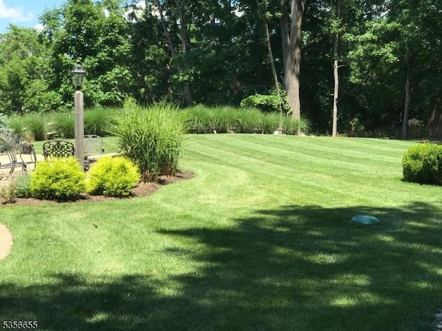 77 Oak Rd, Boonton Twp, NJ 07005 - view of green lawn