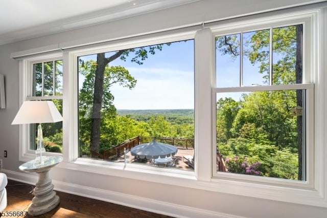 66 Skyline Dr, Morris Twp, NJ 07960 - detailed view of baseboards