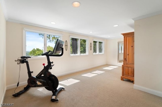 66 Skyline Dr, Morris Twp, NJ 07960 - exercise area featuring carpet, baseboards, crown molding, and recessed lighting