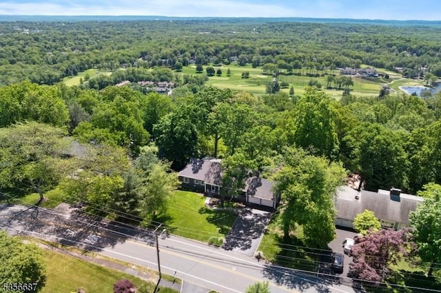 66 Skyline Dr, Morris Twp, NJ 07960 - aerial view of a forest