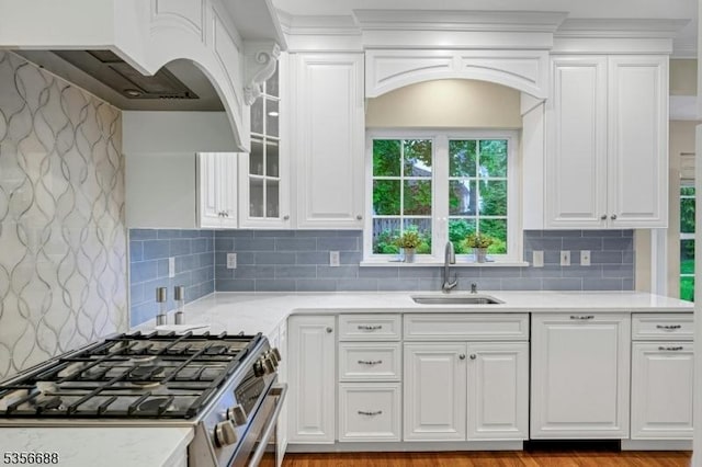 kitchen with a sink, stainless steel gas stove, white cabinetry, tasteful backsplash, and ornamental molding