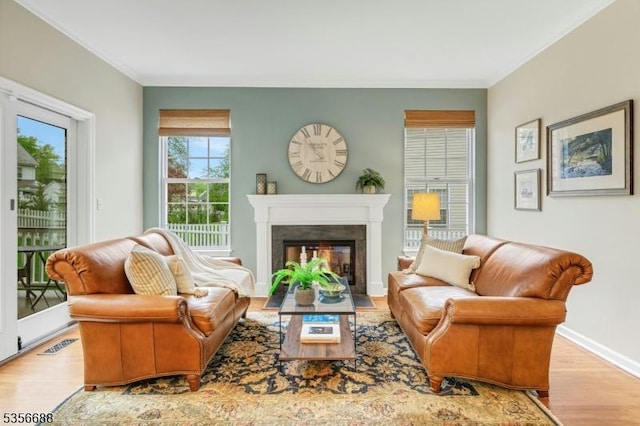 living area featuring wood finished floors, a glass covered fireplace, ornamental molding, and baseboards