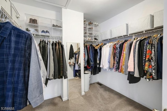 spacious closet with carpet floors