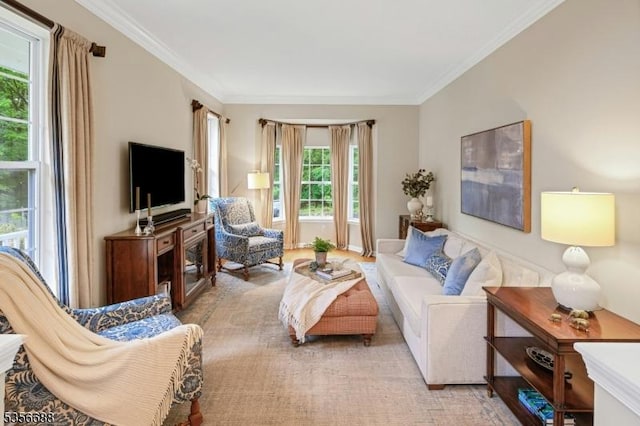 living area with ornamental molding