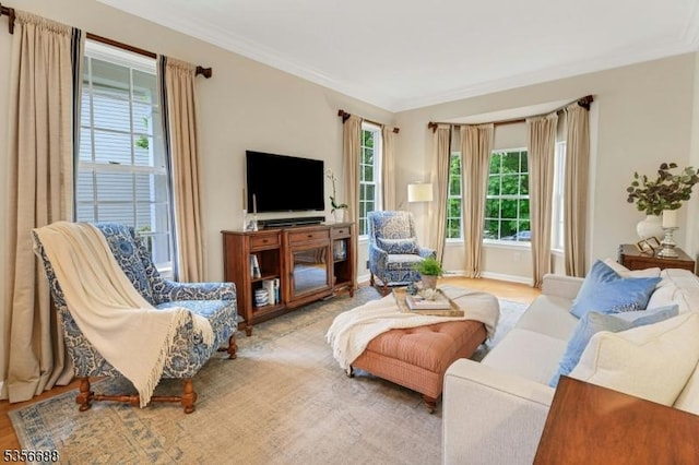 living area featuring ornamental molding and wood finished floors