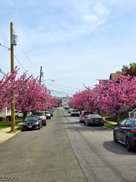 50 Newark Pl, Belleville Twp, NJ 07109 - view of asphalt road featuring sidewalks, curbs, and street lighting