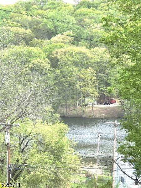 water view with a forest
