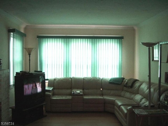 living room with crown molding and plenty of natural light